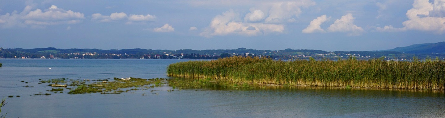 Im Naturschutzgebiet Rheindelta.