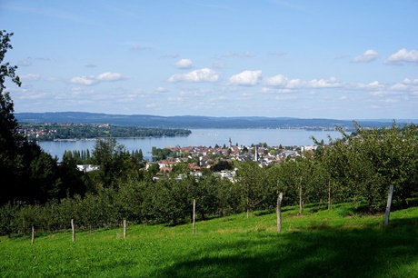 Schöner Blick über Steckborn und den Bodensee.