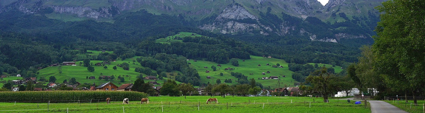 Berge und grüne Weiden umgeben den hübschen Ort Gams im St. Galler Rheintal.