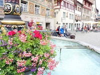 Blumenschmuck an einem Brunnen im mittelalterlich anmutenden Zentrum von Stein am Rhein.